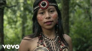 Peter Heckmann - Into The Light (ft. Ethnic World Orchestra)